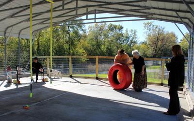 Animal pound 3